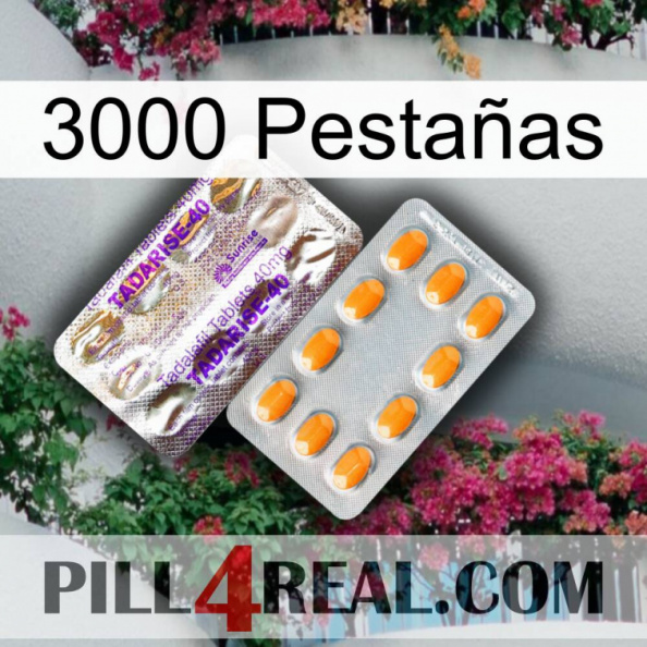 3000 Pestañas new12.jpg